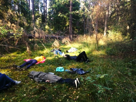 Group of forest bathers laying down in the woods